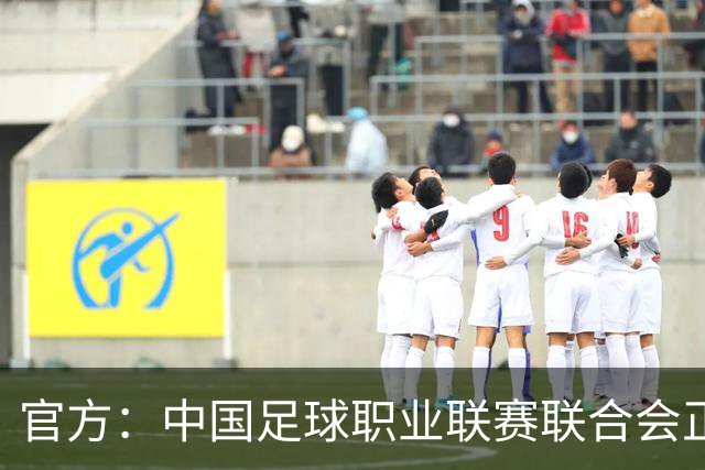 官方：中国足球职业联赛联合会正式成立